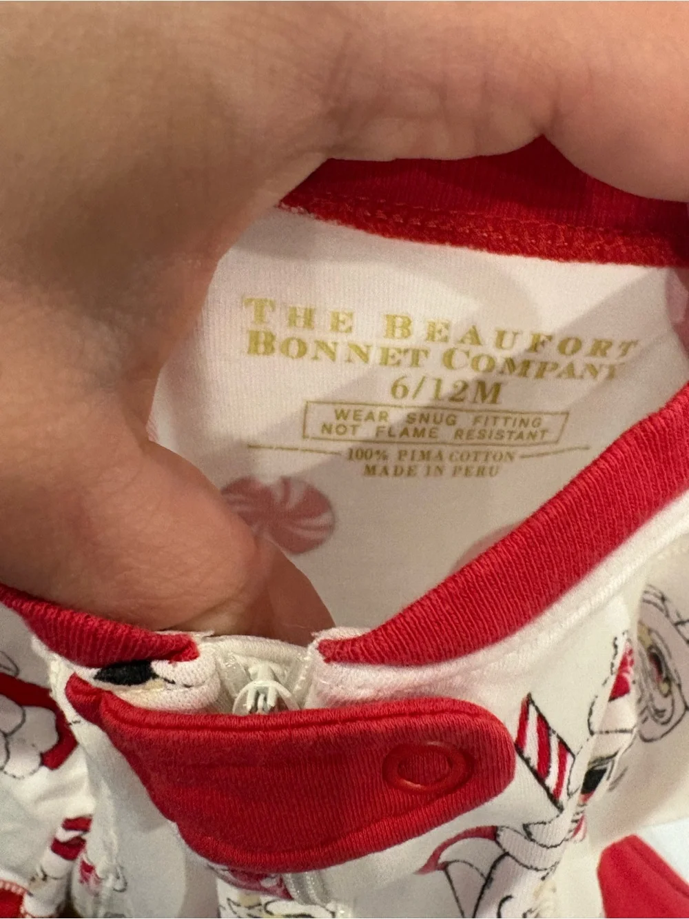 Santa Zippy // TBBC // 6-12m